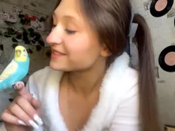 daisybudlong