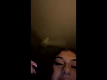 dazzlingkitten