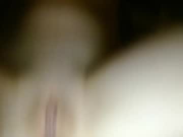 motelbunni